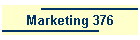 Marketing 376